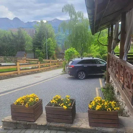 Kalina-mocarni Kościelisko